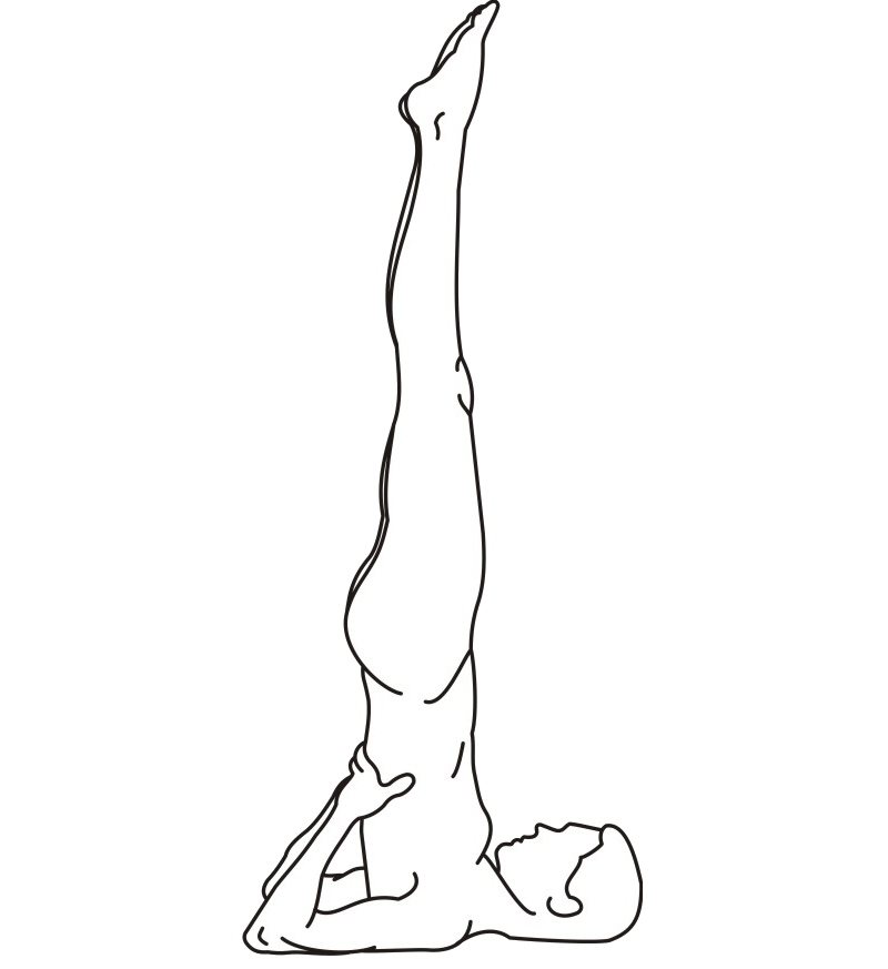 Sarvangasana