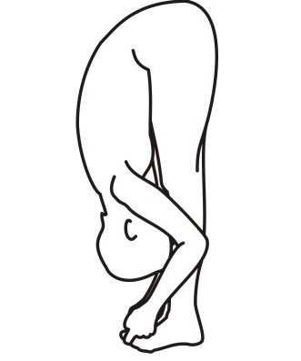 Uttananasana